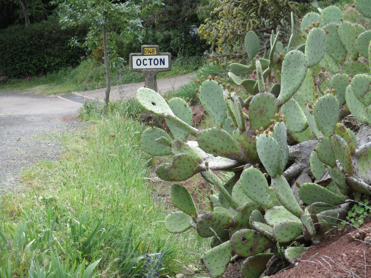 Hotes'Octon מראה חיצוני תמונה
